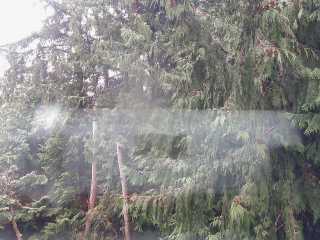 snapshot DP 1af4e747